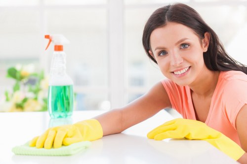 Paddington cleaning services homepage visual