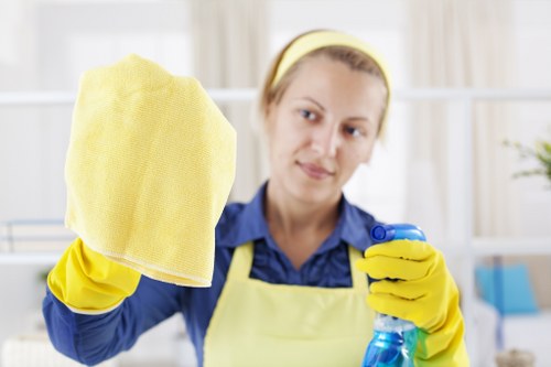 Cleaner pricing overview for Paddington rubbish removal service