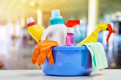 Professional cleaner in Paddington working in a modern home