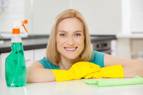 Professional cleaning method for a building facade