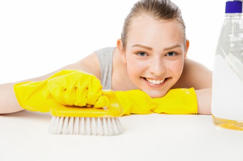 Deep carpet cleaning equipment used by a Paddington cleaning specialist
