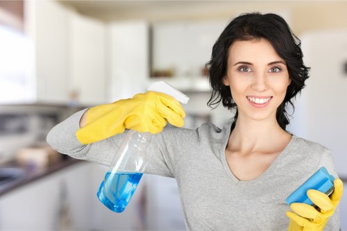Kitchen and bathroom cleaning in a Paddington home