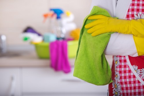 Professional housekeeping tools used in Paddington