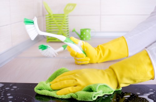 Clean and refreshed lounge furniture after upholstery cleaning in Paddington