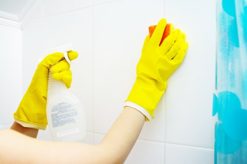 Floor care and maintenance for Paddington homes and businesses