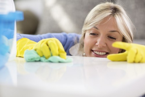 Payment security features for Paddington Cleaners including compliance and encryption