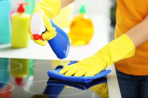 Stain removal and deep carpet cleaning in Paddington