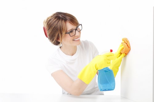 Paddington cleaners performing a deep cleaning task in a well-maintained room