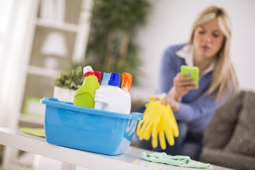 Routine carpet maintenance and cleaning in Paddington