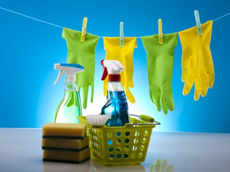Paddington cleaner preparing a spotless kitchen surface